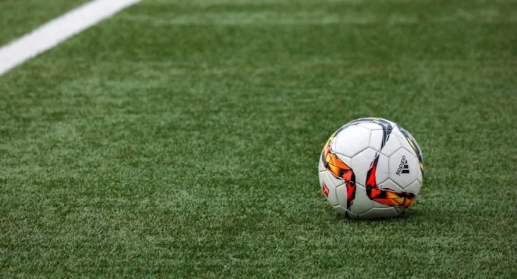 Pallone da calcio