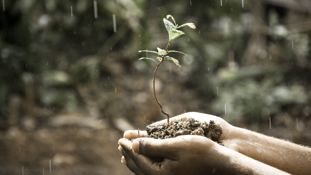 investire in terreni agricoli
