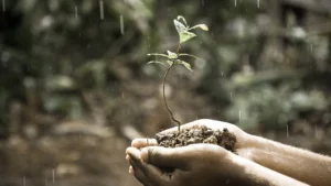 investire in terreni agricoli
