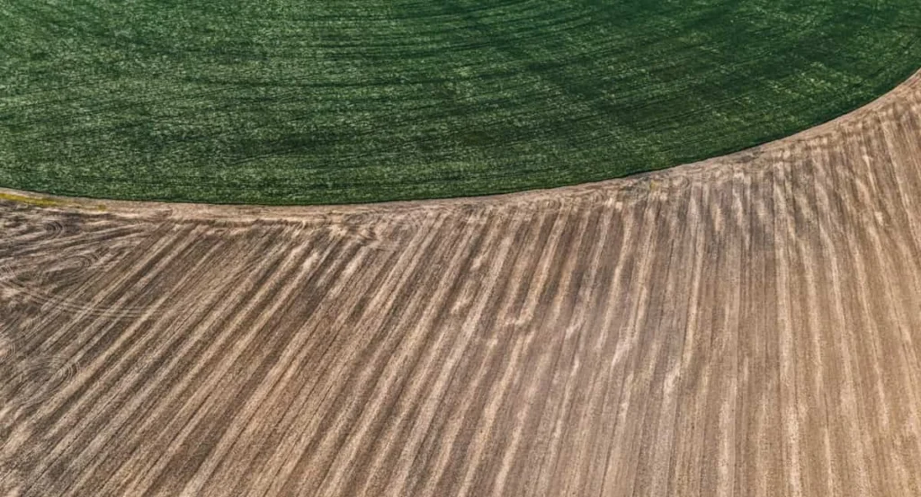 Vista aerea di un campo coltivato
