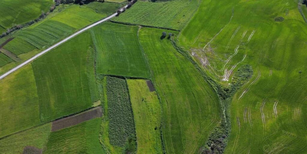 Coltivazioni viste da un drone