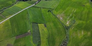 Coltivazioni viste da un drone